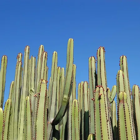 Par 4 2 Salobre Gran Canaria